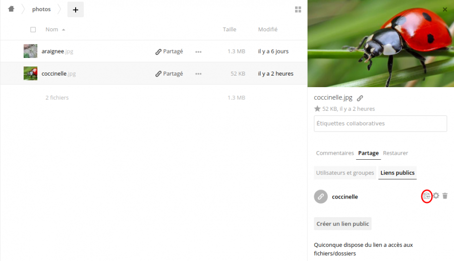 mycore-7.png mycore-7.png